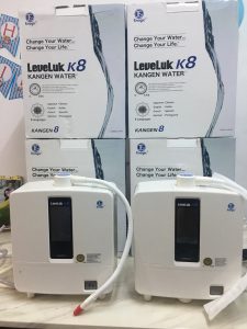 kangen leveluk k8 price